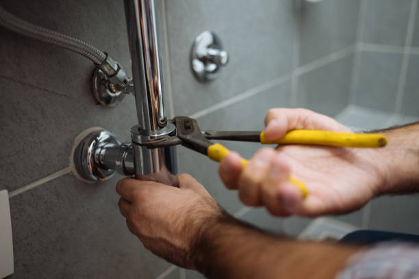Best Commercial Plumbing Services  in Glenwood City, WI